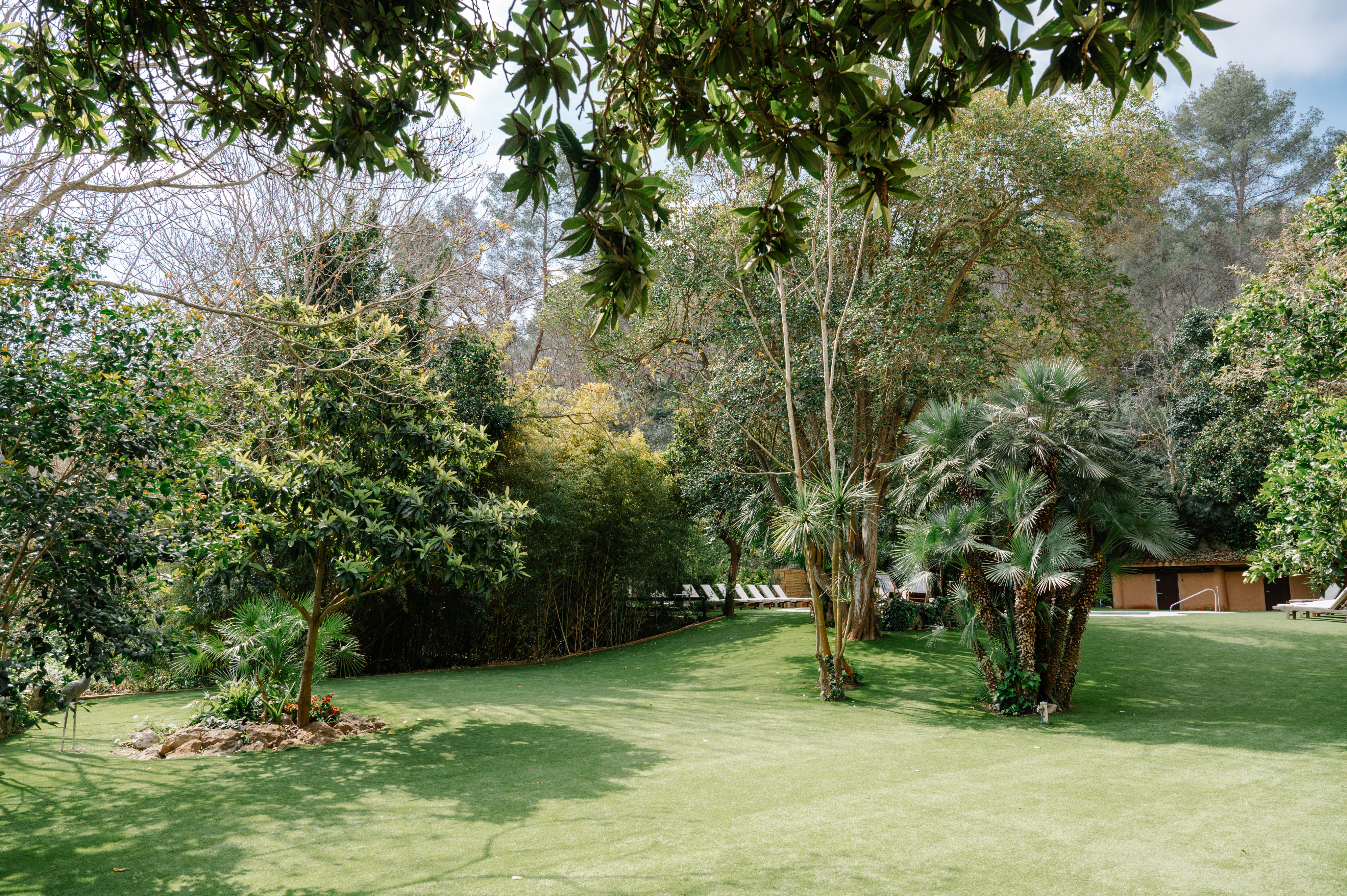 3 flowers placed in a vintage glass jar with a soft green background.